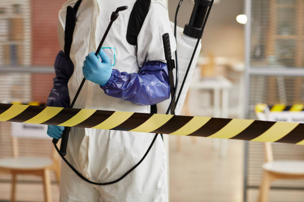 Professional Odor Removal technician working in Brinklow, MD