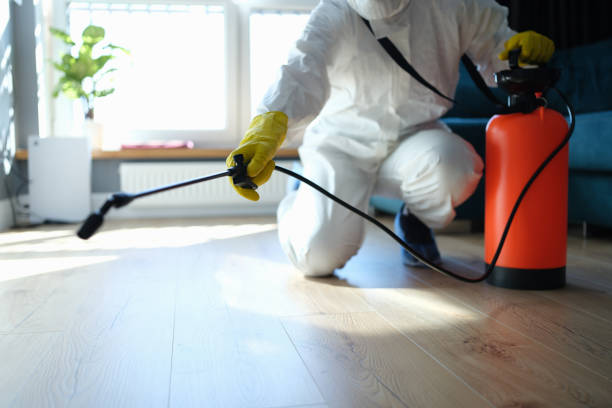 Reliable Odor Removal contractor in Brinklow, MD by Trauma Clean Pros